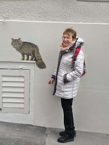 Auf und Ab Treppenlifte — Kundenfoto